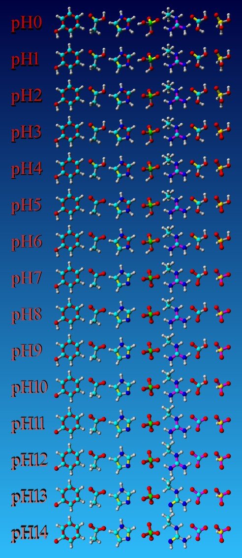 YASARA:pHの値に基づく結合次数と水素付加パターン（protonation patterns）