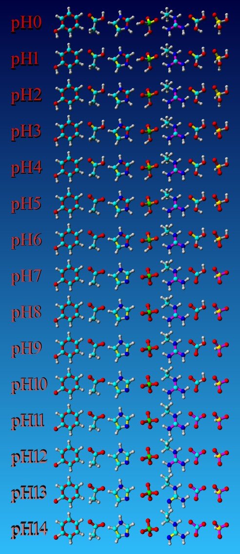 YASARA:pHの値に基づく結合次数と水素付加パターン（protonation patterns）